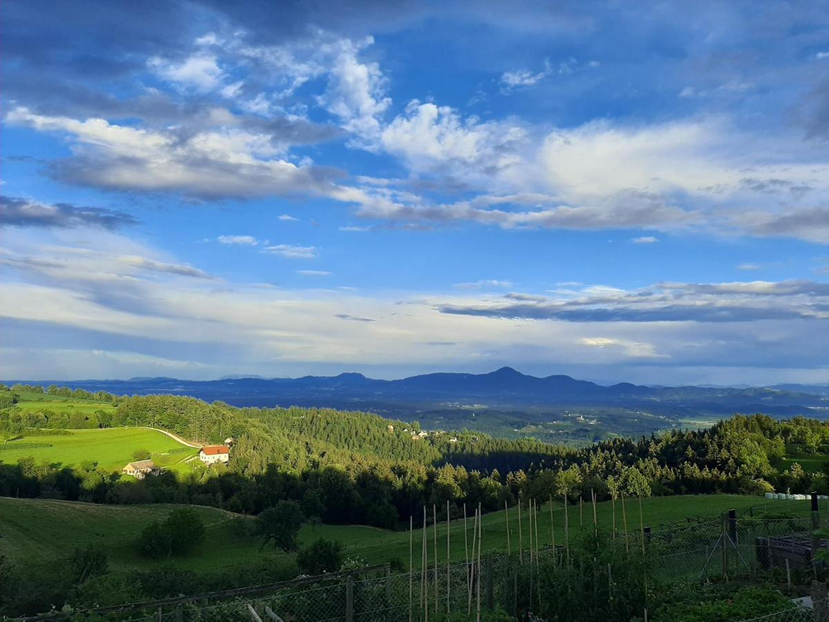 Apartment Zeleni Dragulj Pohorje Oplotnica 外观 照片