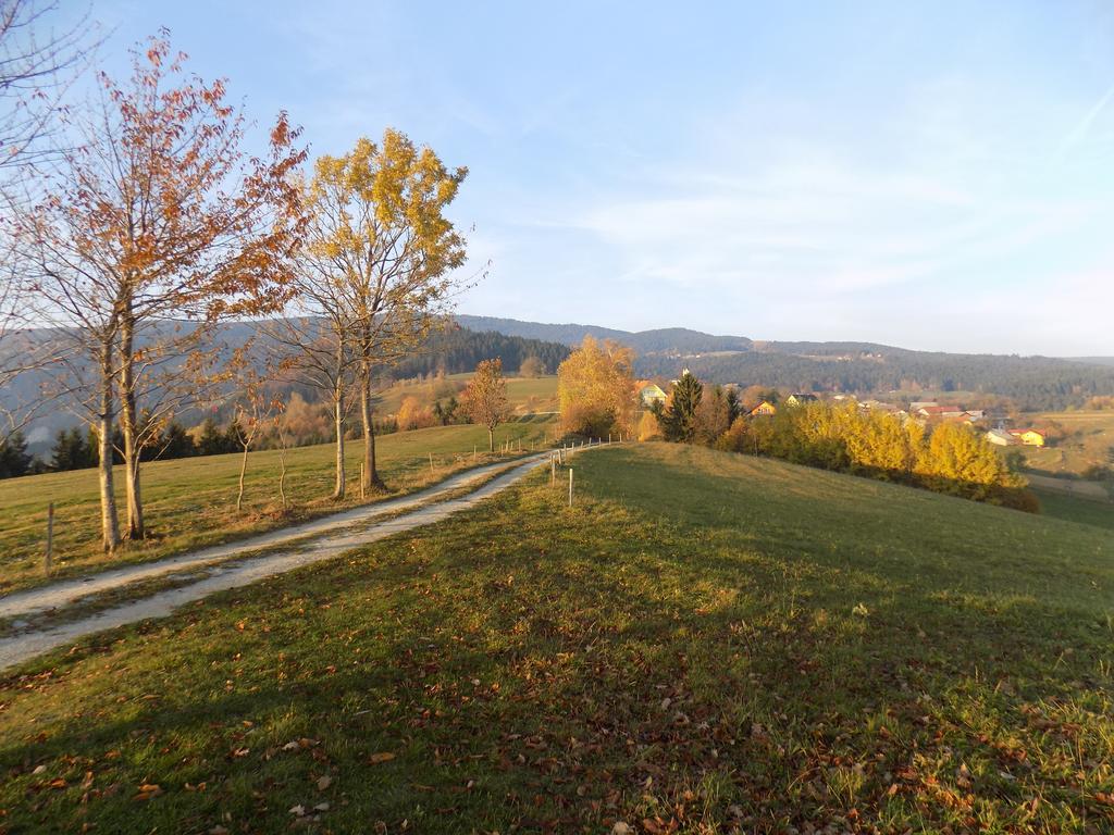 Apartment Zeleni Dragulj Pohorje Oplotnica 外观 照片